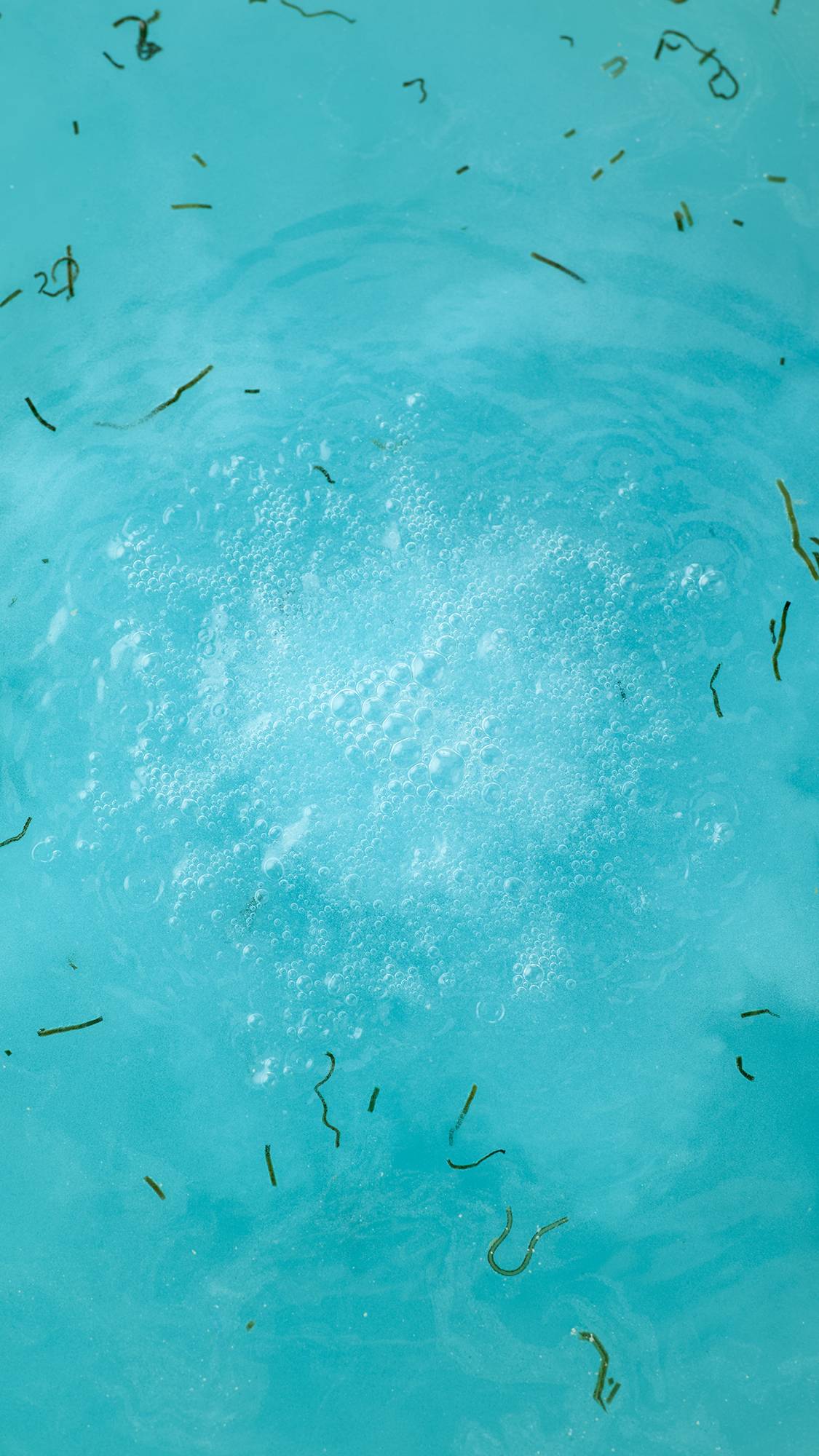 A top-down view of the dissolved Big Blue bath bomb in turquoise water. A frothy white cloud of bubbles sits in the center, surrounded by floating strands of dark green seaweed.
