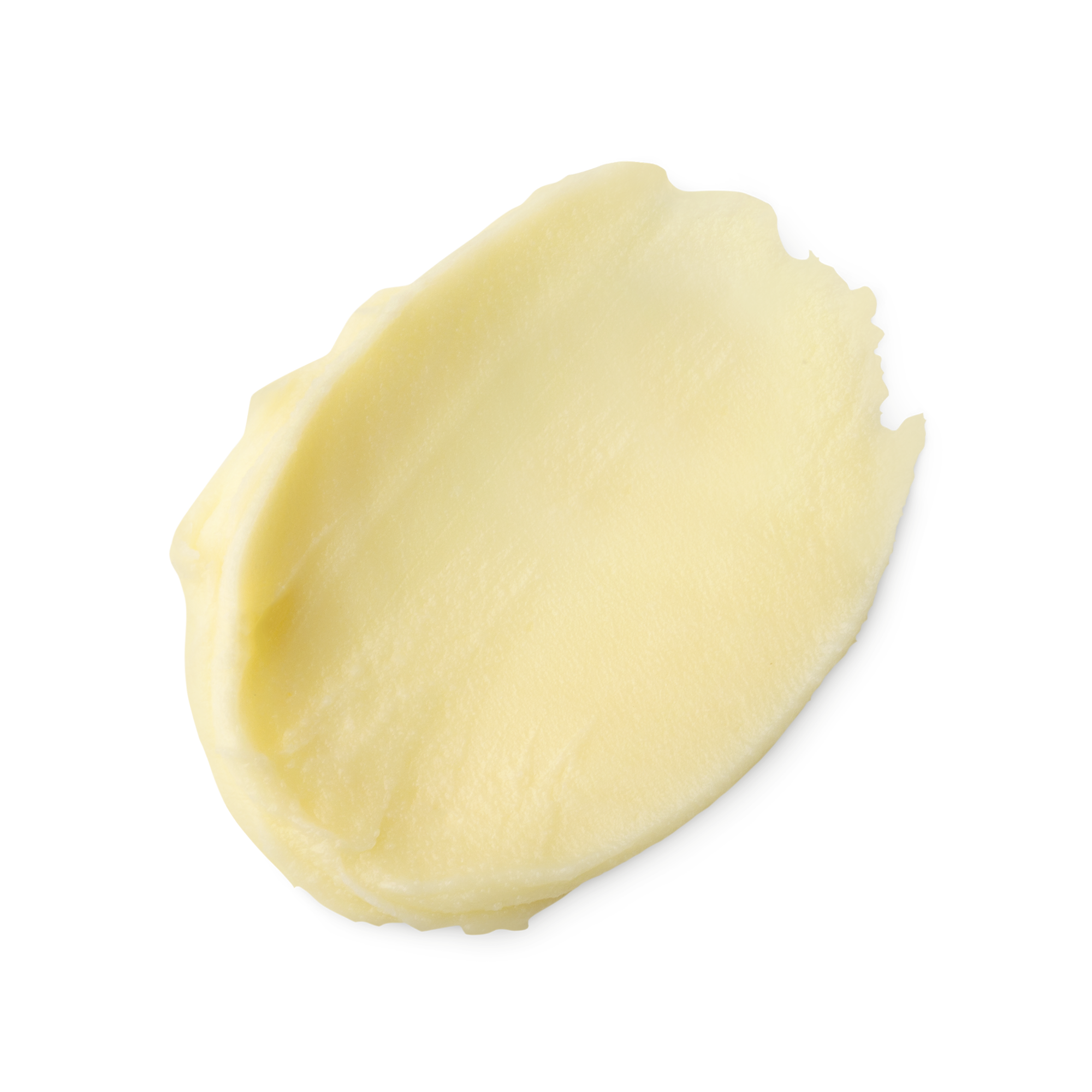 Magical Moringa Primer